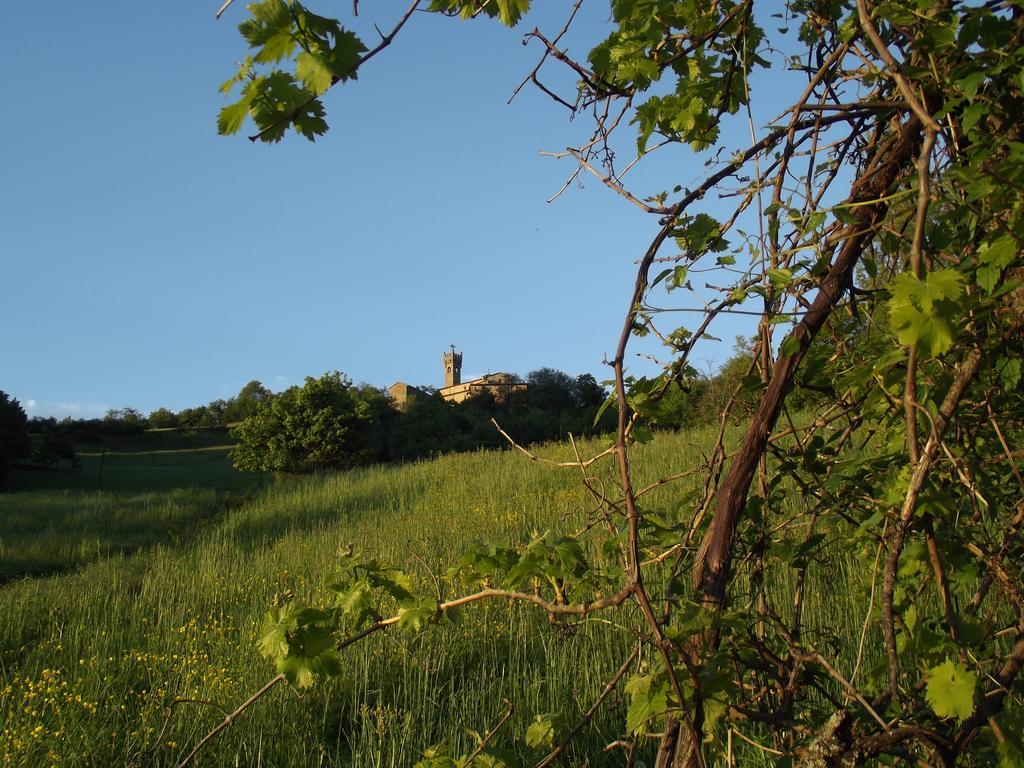 La Ciastra Ed San Michel Villa Terenzo Luaran gambar